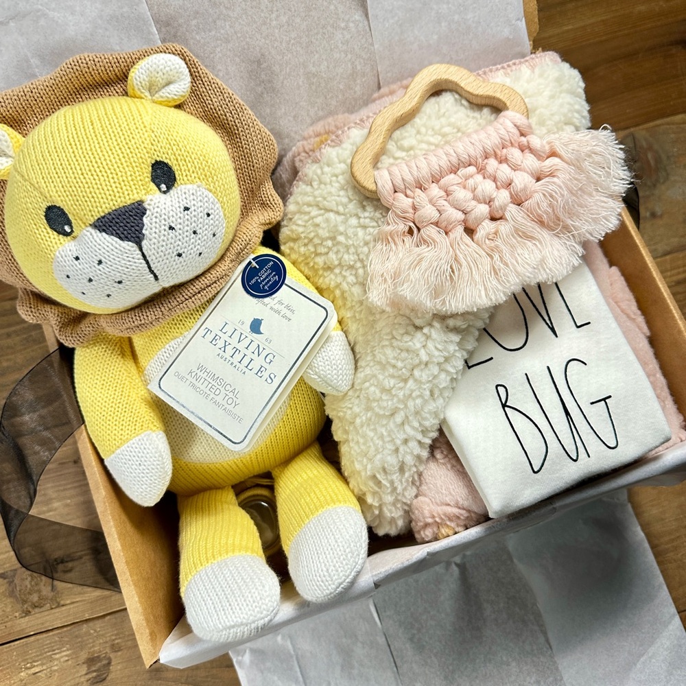 Little Love Bug Baby Girl Gift‎ Box | 9-Pc Newborn Luxury Gift Set